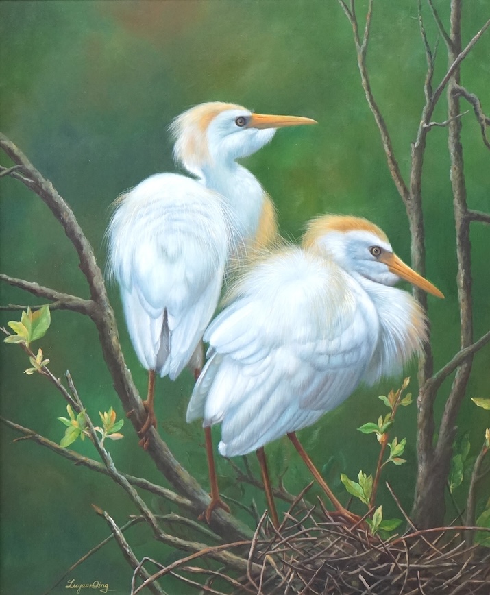 Luyuan Qing (Chinese, 20th. C), Study of egrets, signed, oil on canvas, 59 x 49cm, gilt frame